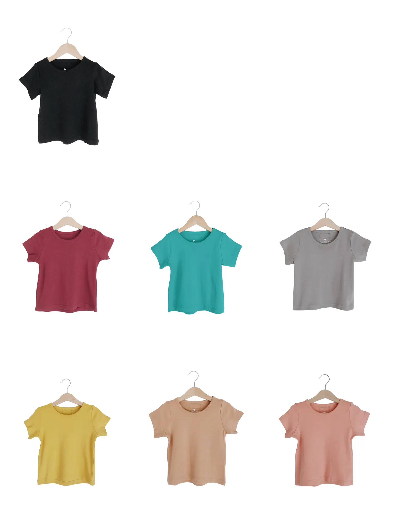 Organic Basic Tee -  Colors